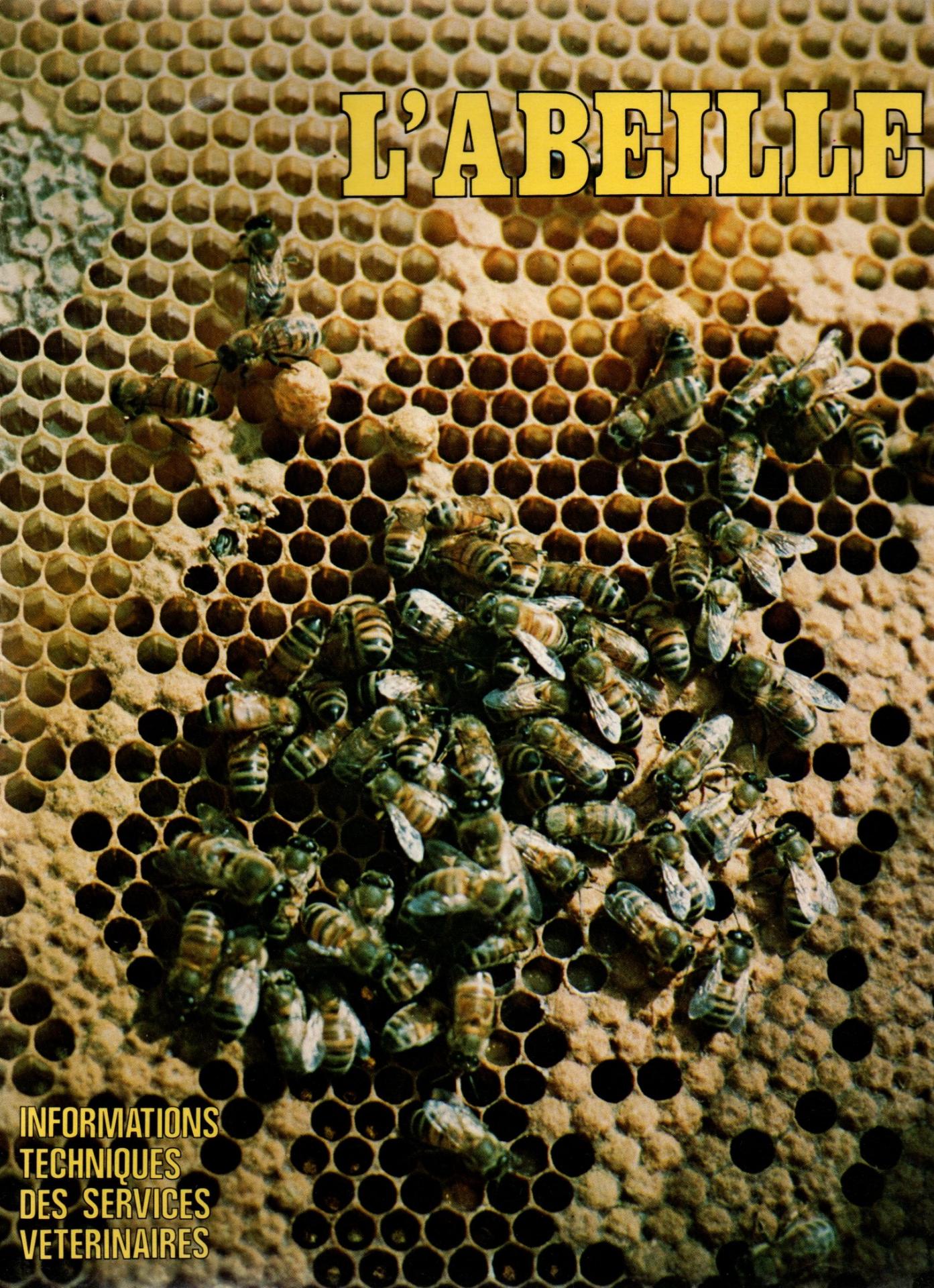 L abeille